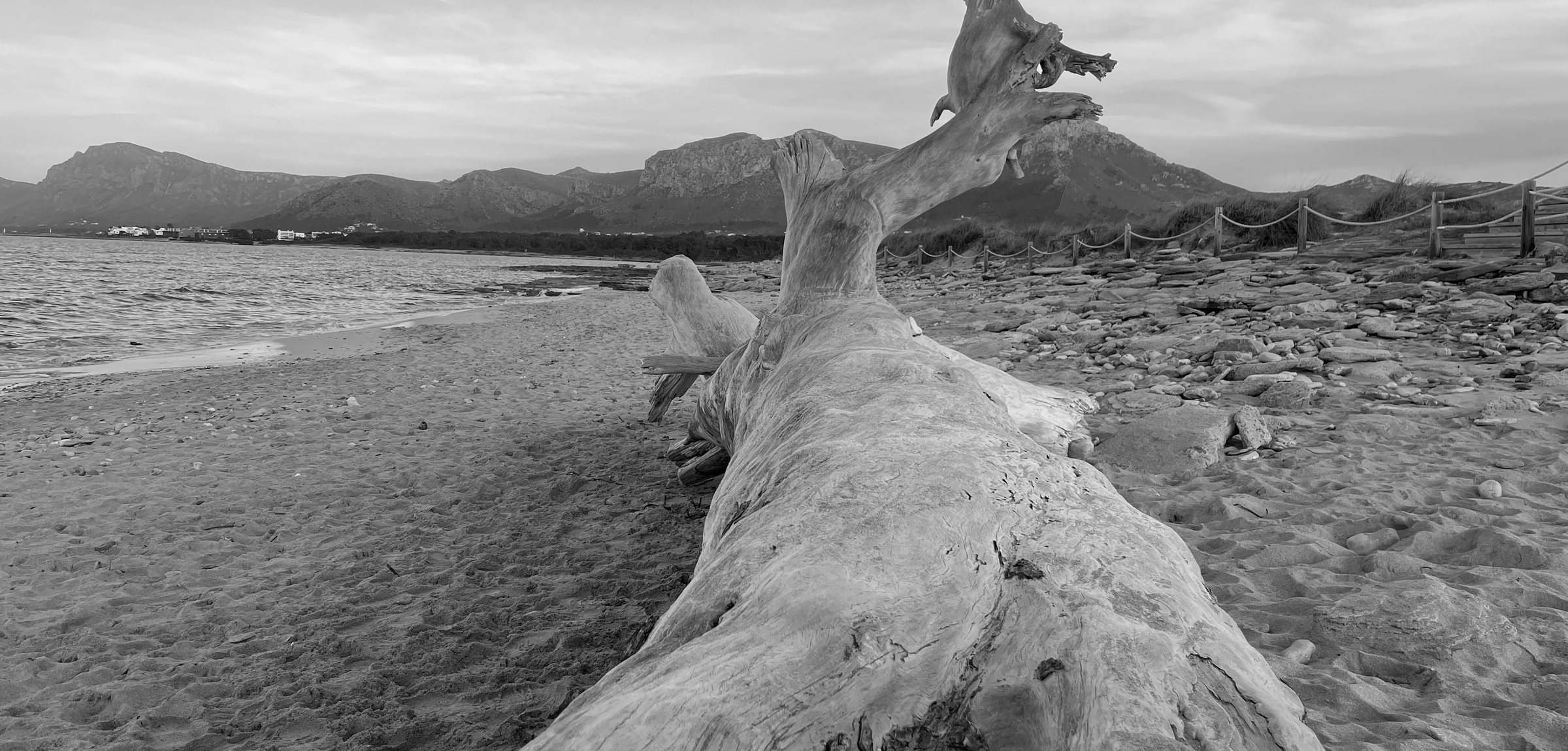 Ein verwitterter Treibholzstamm liegt am Strand, dahinter Berge und Meer